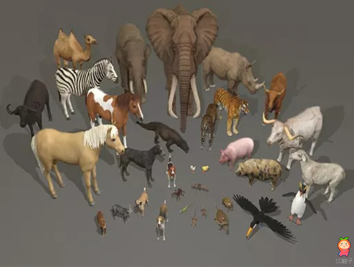 Animal pack deluxe v2 1.0