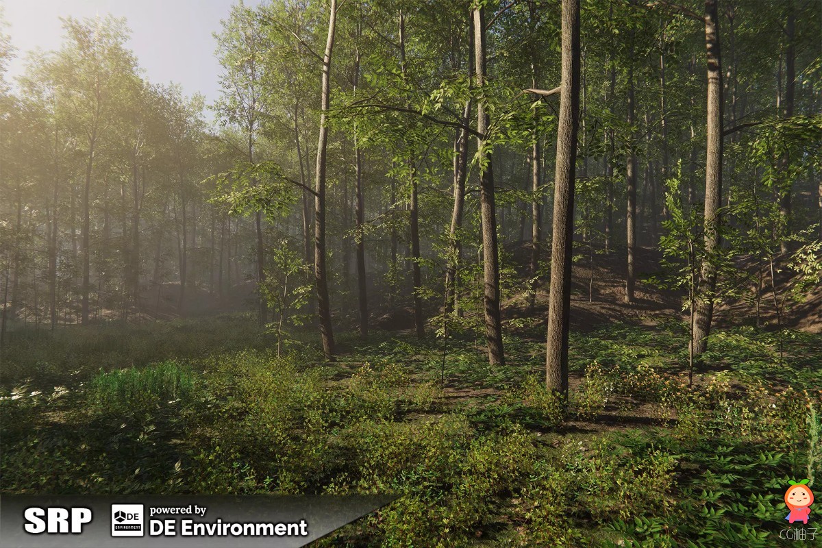 Nature Package - Forest Environment 1.5